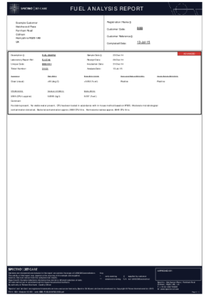 Fuel Analysis Report