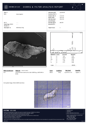 Chip Analysis Report