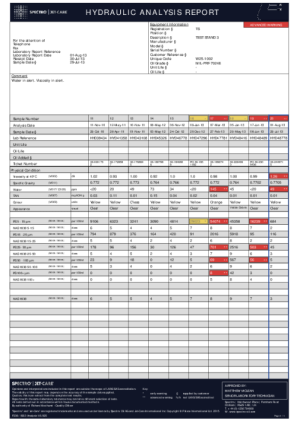 Hydraulic Analysis Report